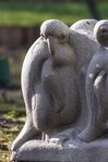 Een jonge vogel?
<br/>
Marcel Westhoff, februari 2016
